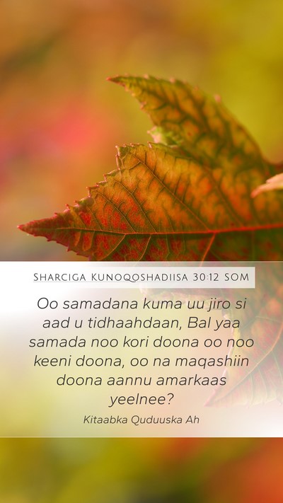 Sharciga Kunoqoshadiisa 30:12 SOM Bible Verse Image