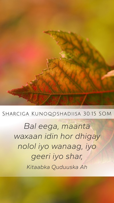 Sharciga Kunoqoshadiisa 30:15 SOM Bible Verse Image