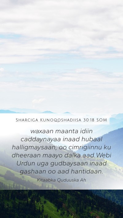 Sharciga Kunoqoshadiisa 30:18 SOM Bible Verse Image