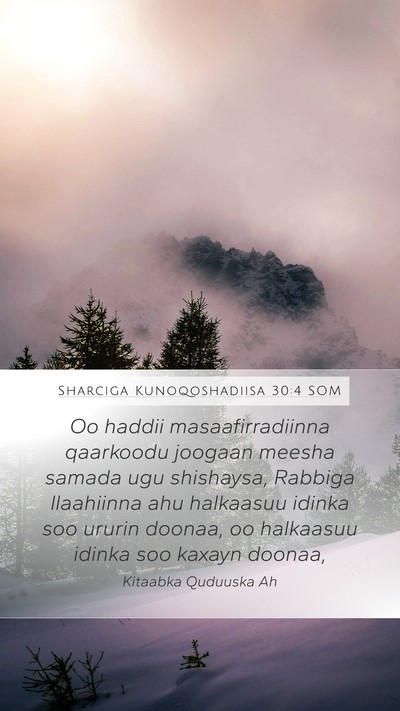 Sharciga Kunoqoshadiisa 30:4 SOM Bible Verse Image