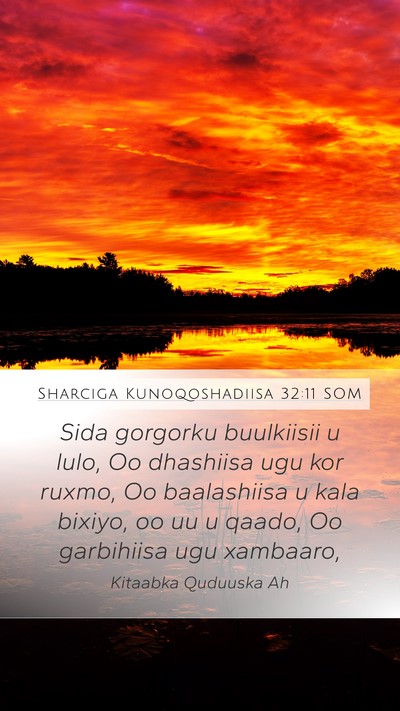 Sharciga Kunoqoshadiisa 32:11 SOM Bible Verse Image