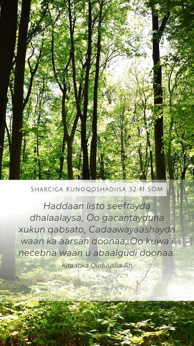 Sharciga Kunoqoshadiisa 32:41 SOM Bible Verse Image