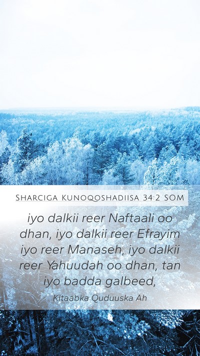 Sharciga Kunoqoshadiisa 34:2 SOM Mobile Phone Wallpaper - iyo dalkii reer Naftaali oo dhan, iyo dalkii reer - Mobile Bible Verse Wallpaper