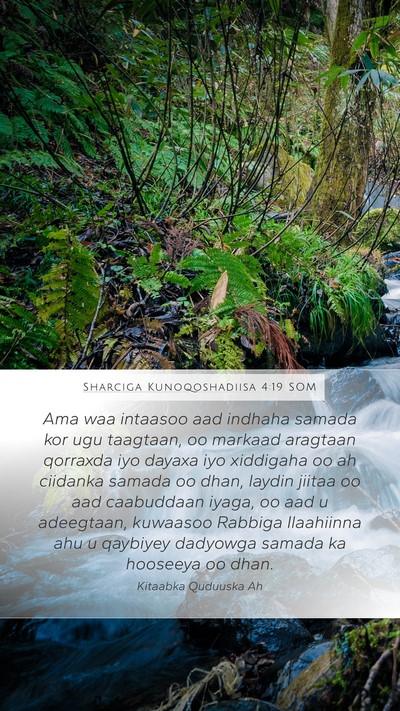 Sharciga Kunoqoshadiisa 4:19 SOM Bible Verse Image