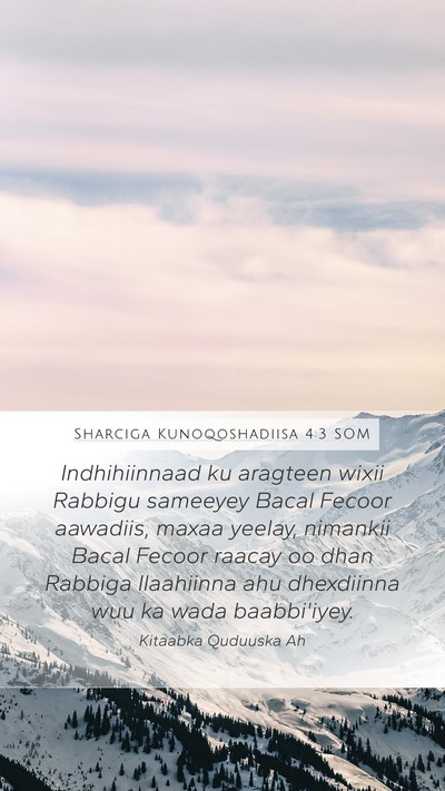 Sharciga Kunoqoshadiisa 4:3 SOM Bible Verse Image