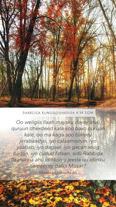 Sharciga Kunoqoshadiisa 4:34 SOM Bible Verse Image