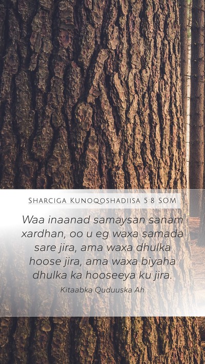 Sharciga Kunoqoshadiisa 5:8 SOM Bible Verse Image