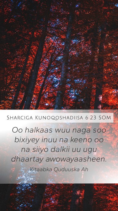 Sharciga Kunoqoshadiisa 6:23 SOM Mobile Phone Wallpaper - Oo halkaas wuu naga soo bixiyey inuu na keeno oo - Mobile Bible Verse Wallpaper