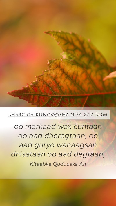Sharciga Kunoqoshadiisa 8:12 SOM Bible Verse Image