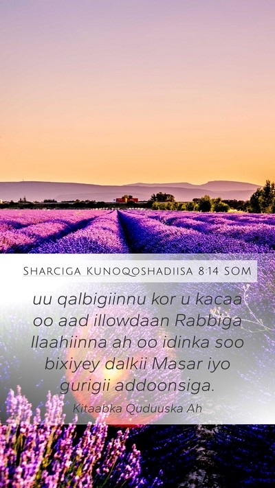 Sharciga Kunoqoshadiisa 8:14 SOM Bible Verse Image