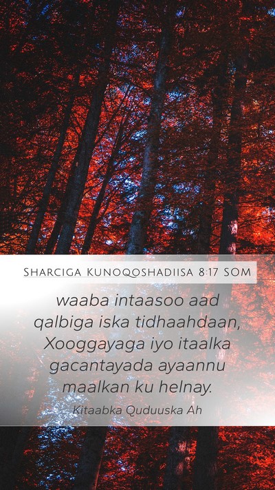 Sharciga Kunoqoshadiisa 8:17 SOM Bible Verse Image