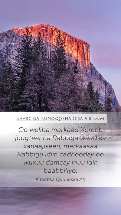 Sharciga Kunoqoshadiisa 9:8 SOM Bible Verse Image