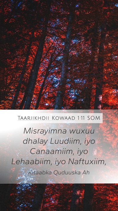 Taariikhdii Kowaad 1:11 SOM Bible Verse Image