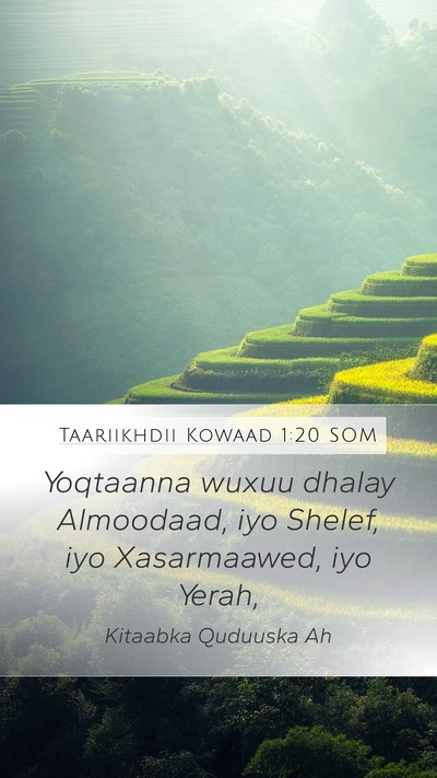 Taariikhdii Kowaad 1:20 SOM Bible Verse Image