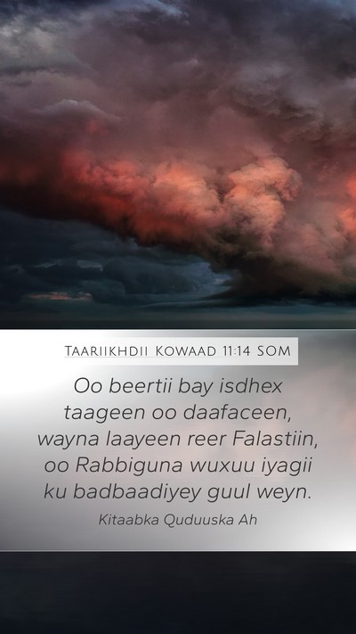 Taariikhdii Kowaad 11:14 SOM Bible Verse Image