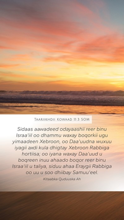 Taariikhdii Kowaad 11:3 SOM Bible Verse Image