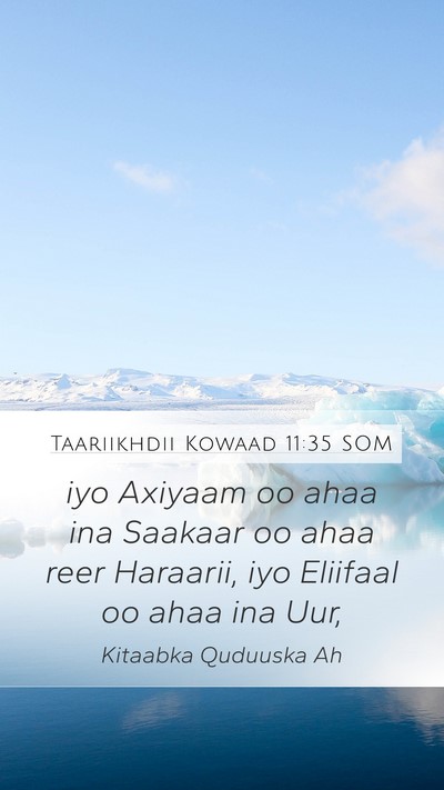 Taariikhdii Kowaad 11:35 SOM Bible Verse Image