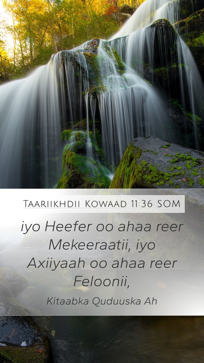 Taariikhdii Kowaad 11:36 SOM Mobile Phone Wallpaper - iyo Heefer oo ahaa reer Mekeeraatii, iyo Axiiyaah - Mobile Bible Verse Wallpaper