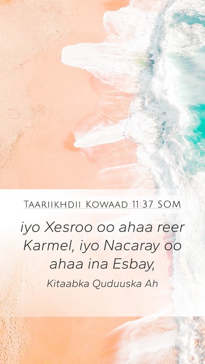 Taariikhdii Kowaad 11:37 SOM Bible Verse Image
