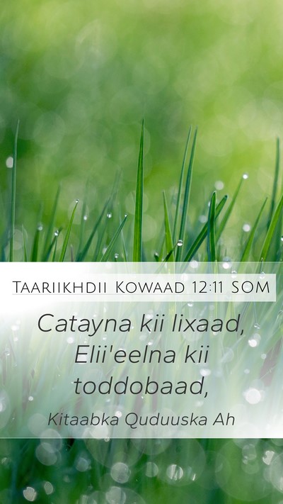 Taariikhdii Kowaad 12:11 SOM Mobile Phone Wallpaper - Catayna kii lixaad, Elii'eelna kii - Mobile Bible Verse Wallpaper