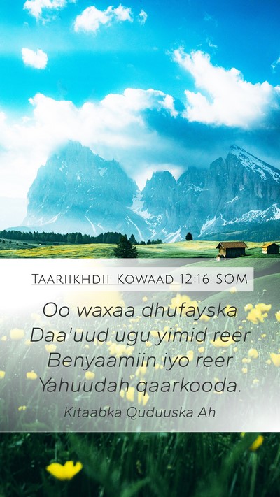 Taariikhdii Kowaad 12:16 SOM Bible Verse Image