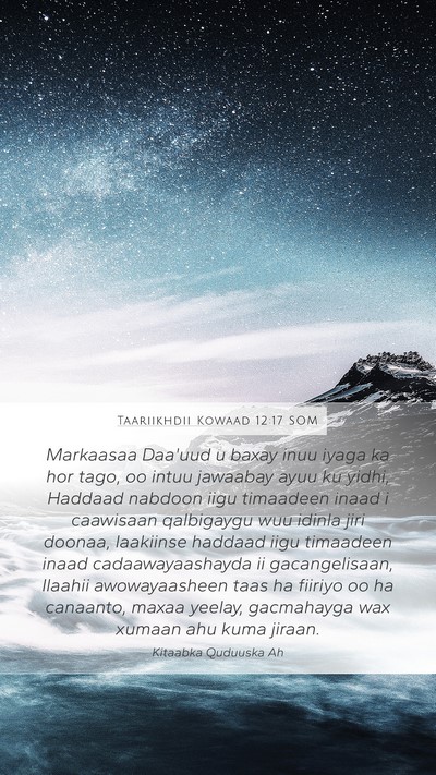 Taariikhdii Kowaad 12:17 SOM Bible Verse Image