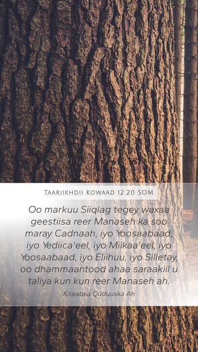 Taariikhdii Kowaad 12:20 SOM Bible Verse Image
