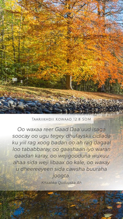 Taariikhdii Kowaad 12:8 SOM Bible Verse Image