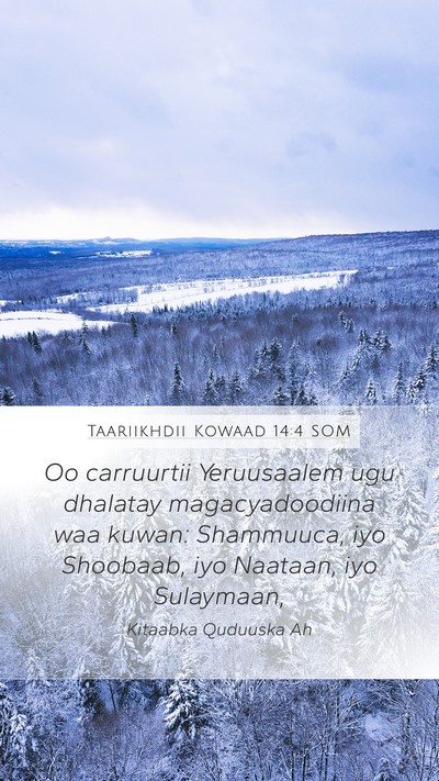 Taariikhdii Kowaad 14:4 SOM Bible Verse Image