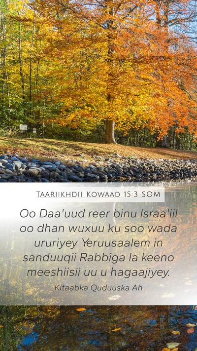 Taariikhdii Kowaad 15:3 SOM Bible Verse Image