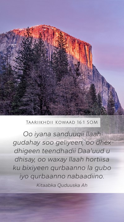 Taariikhdii Kowaad 16:1 SOM Bible Verse Image
