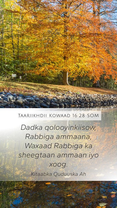 Taariikhdii Kowaad 16:28 SOM Bible Verse Image