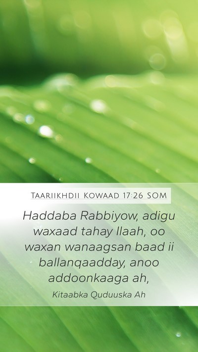 Taariikhdii Kowaad 17:26 SOM Bible Verse Image