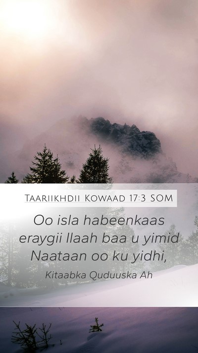 Taariikhdii Kowaad 17:3 SOM Bible Verse Image