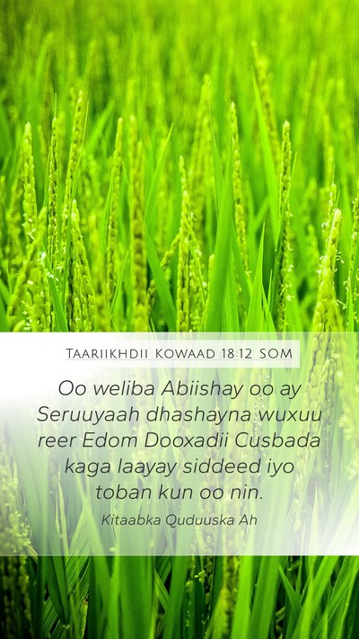 Taariikhdii Kowaad 18:12 SOM Bible Verse Image