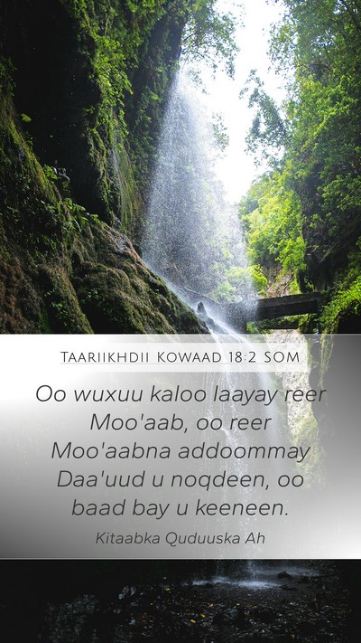 Taariikhdii Kowaad 18:2 SOM Bible Verse Image