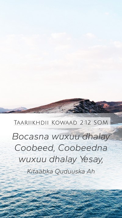Taariikhdii Kowaad 2:12 SOM Mobile Phone Wallpaper - Bocasna wuxuu dhalay Coobeed, Coobeedna wuxuu - Mobile Bible Verse Wallpaper