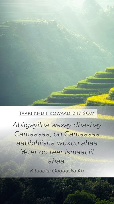 Taariikhdii Kowaad 2:17 SOM Bible Verse Image