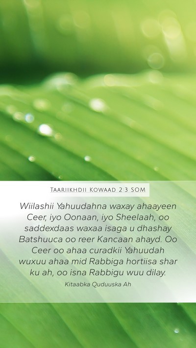 Taariikhdii Kowaad 2:3 SOM Bible Verse Image
