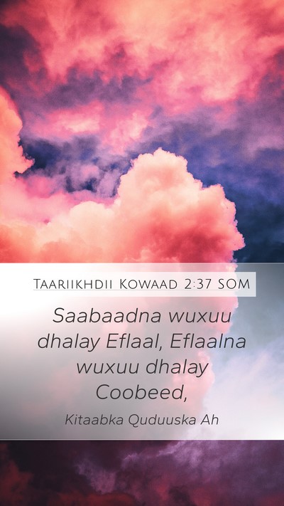 Taariikhdii Kowaad 2:37 SOM Mobile Phone Wallpaper - Saabaadna wuxuu dhalay Eflaal, Eflaalna wuxuu - Mobile Bible Verse Wallpaper