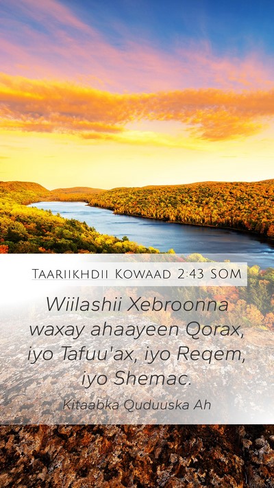 Taariikhdii Kowaad 2:43 SOM Mobile Phone Wallpaper - Wiilashii Xebroonna waxay ahaayeen Qorax, iyo - Mobile Bible Verse Wallpaper