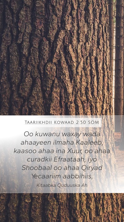 Taariikhdii Kowaad 2:50 SOM Bible Verse Image