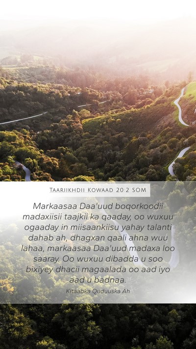 Taariikhdii Kowaad 20:2 SOM Bible Verse Image