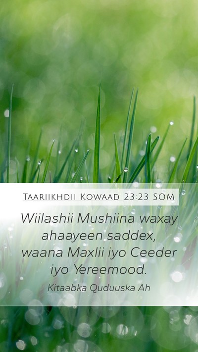 Taariikhdii Kowaad 23:23 SOM Bible Verse Image