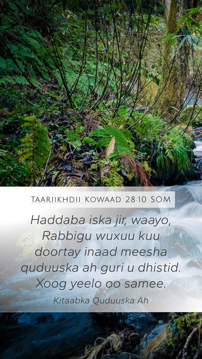 Taariikhdii Kowaad 28:10 SOM Bible Verse Image