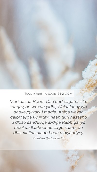 Taariikhdii Kowaad 28:2 SOM Bible Verse Image