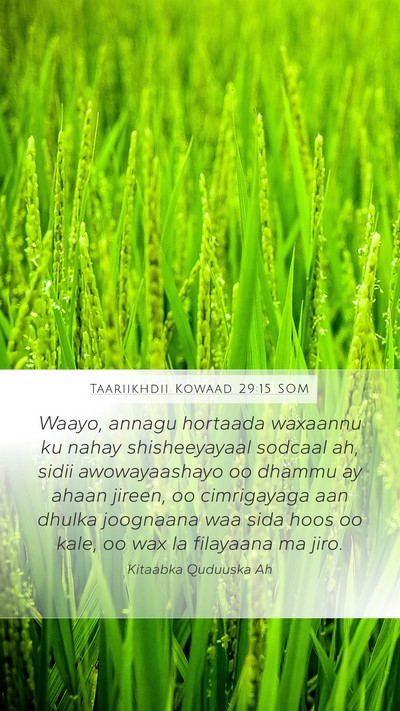 Taariikhdii Kowaad 29:15 SOM Bible Verse Image