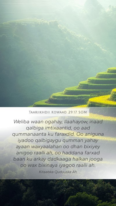 Taariikhdii Kowaad 29:17 SOM Bible Verse Image