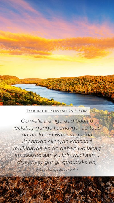 Taariikhdii Kowaad 29:3 SOM Bible Verse Image
