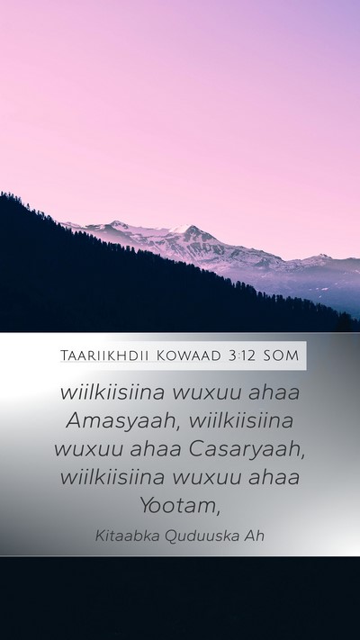 Taariikhdii Kowaad 3:12 SOM Bible Verse Image